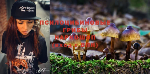 марки lsd Абаза